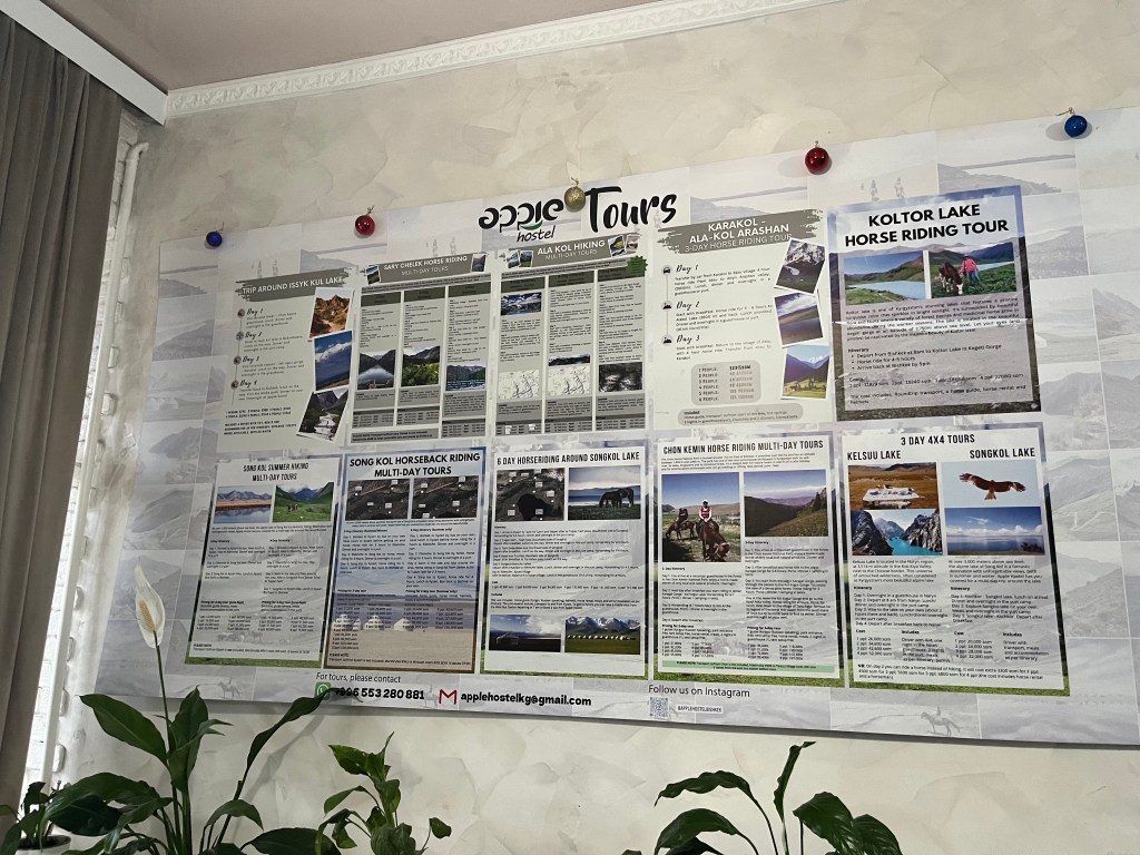 Kyrgyzstan-I am in love, Part 4: Hostel&nbsp;life-Diane